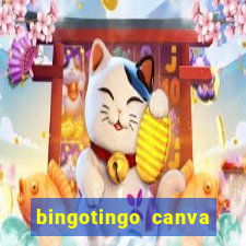 bingotingo canva pro gratis